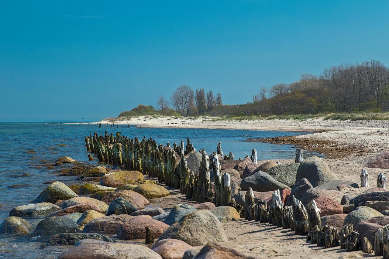 Fewo 1 Wiek auf Rügen Exteriér fotografie